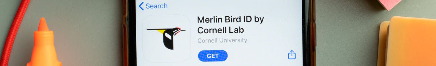 Merlin Bird ID Sovellus on saatavana sekä iOS:lle että Androidille.